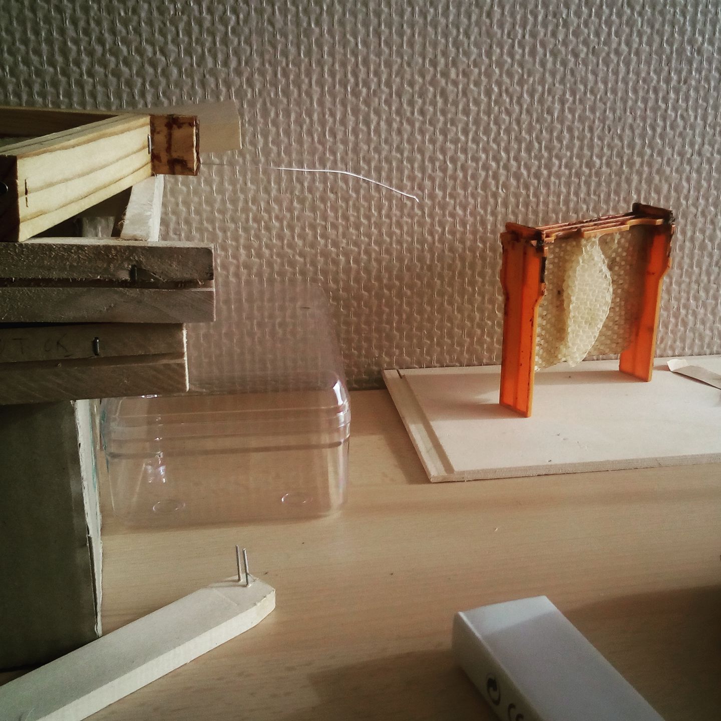 27503712_10156242676364455_8166086305033201291_o