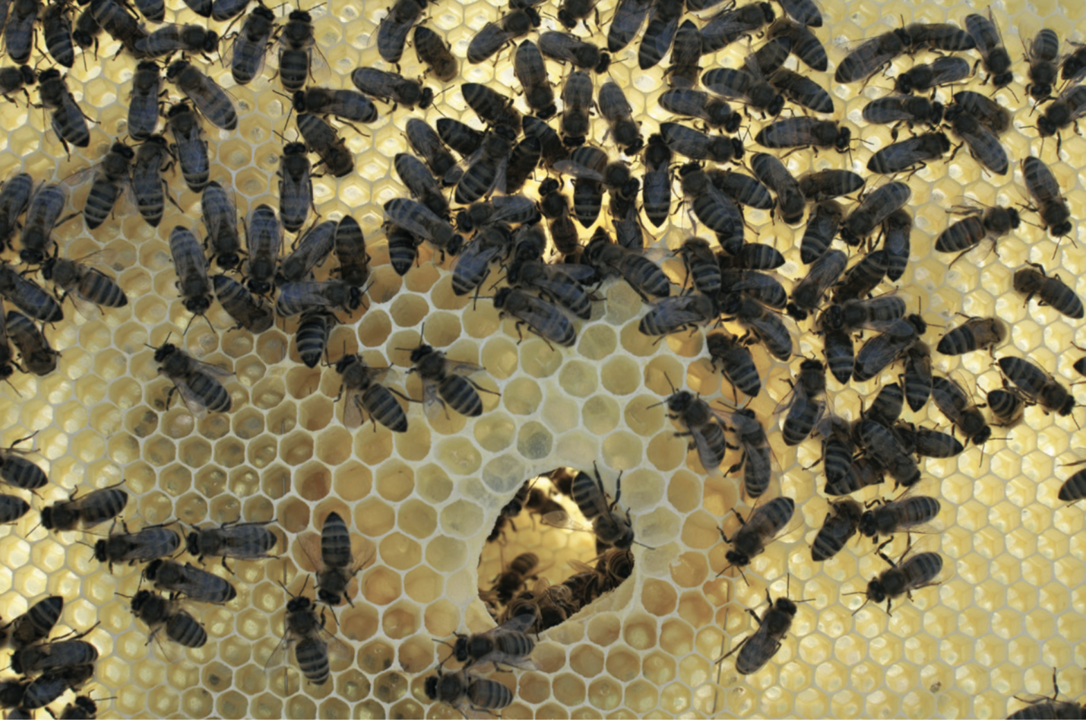 Capture d_écran 2018-02-01 à 13.16.47