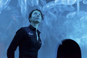 475455-rosalie-dumont-gagne-univers