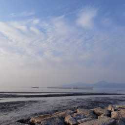 EWEN CHARDRONNET ET MAYA MINDER