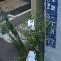 LÉNA HIRIARTBORDE, DANS LA 15ÈME NUIT, LA 25ÈME HEURE par Karin Schlageter